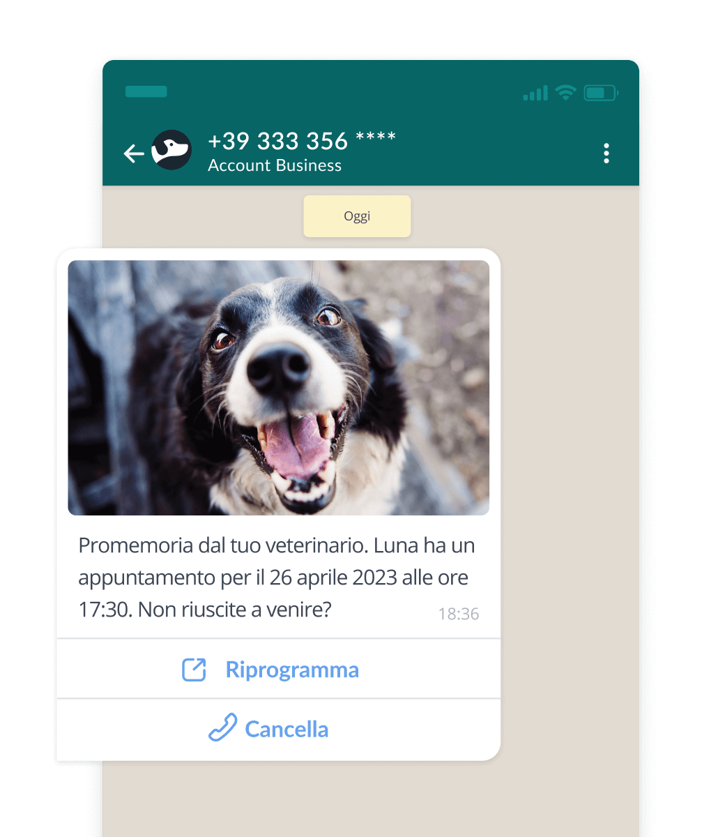 SMS o WhatsApp? - Promemoria appuntamento via WhatsApp