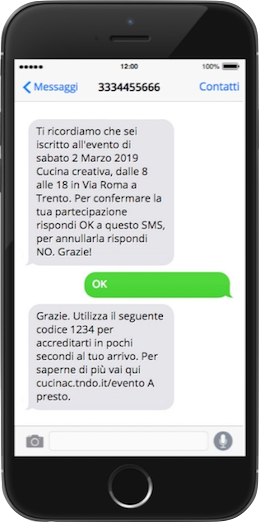SMS per agenzie di marketing - esempio